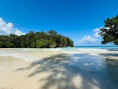 /album/vy-a-my-jamajka-port-antonio/port-antonio-jamajka-vylety-1-jpg/